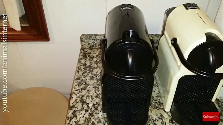 Nespresso Delonghi (& Krups) Inissia coffee machine: First use or after a long period of non-use. 4K