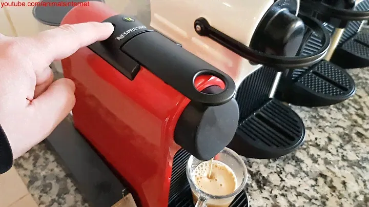 Nespresso Delonghi Essenza Mini Coffee Machine: Programming the Water Volume. QHD 1440p
