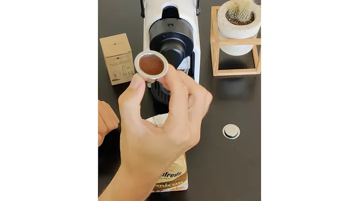Evergreen Capsules with Segafredo Espresso Casa
